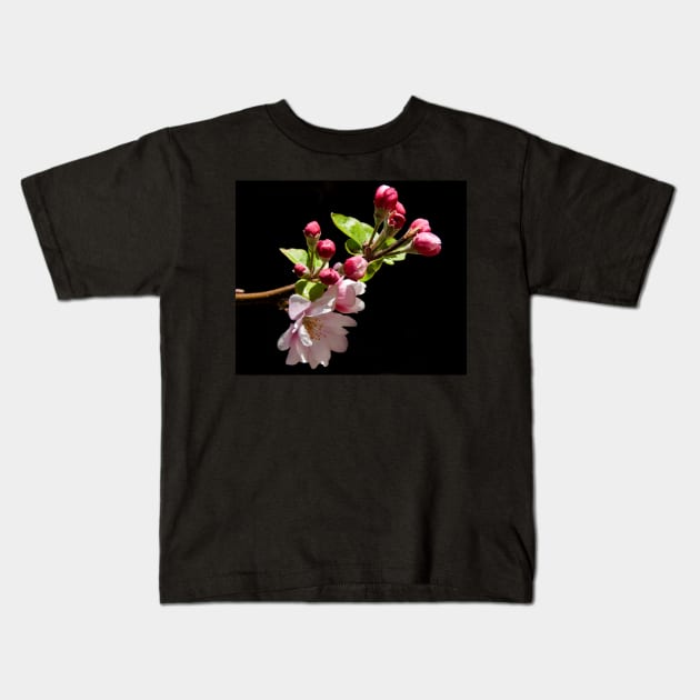 Apple Blossom Time Kids T-Shirt by Memories4you